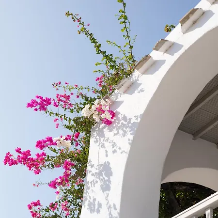 Lägenhet Apostolis Windmill Psarou (Mykonos)