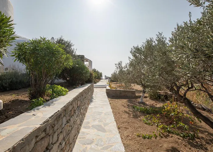 Apostolis Windmill *